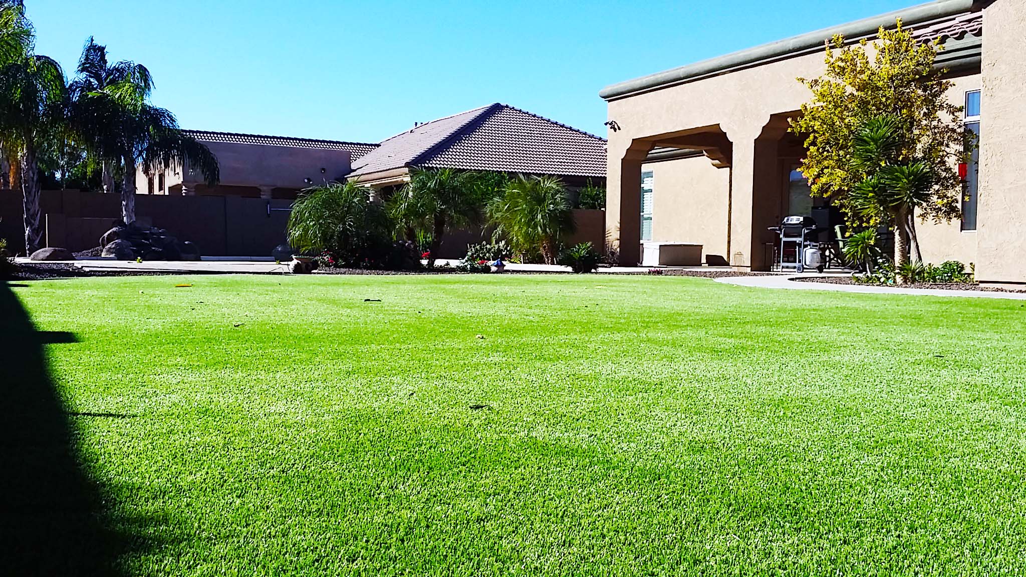 Scottsdale, AZ/ Arizona Artificial Grass Masters