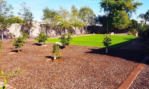 AGM_ArtificialGrass_Putting_green_plants_backyard AGM_ArtificialGrass_Putting_green_plants_backyard